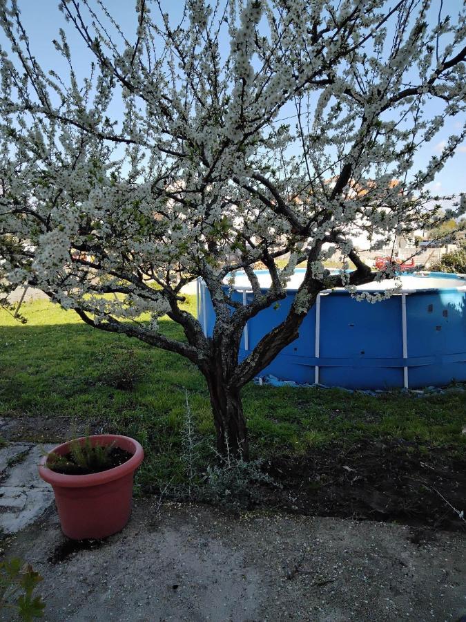 Casa Do Campo Βίλα Seia Εξωτερικό φωτογραφία